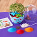 Mini Garden - Dinosaur Contents