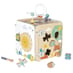 Multi Activity Cube
