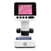 Digital Microscope image 2