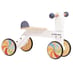 Rainbow Trike