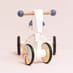 Rainbow Trike image 2