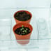 Smart-Tech Greenhouse image 1
