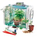Smart-Tech Greenhouse
