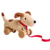 Dudley Pull Along Dog