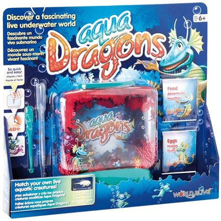 Picture of Aqua Dragons Underwater World