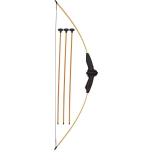 Picture of Bow and Arrows