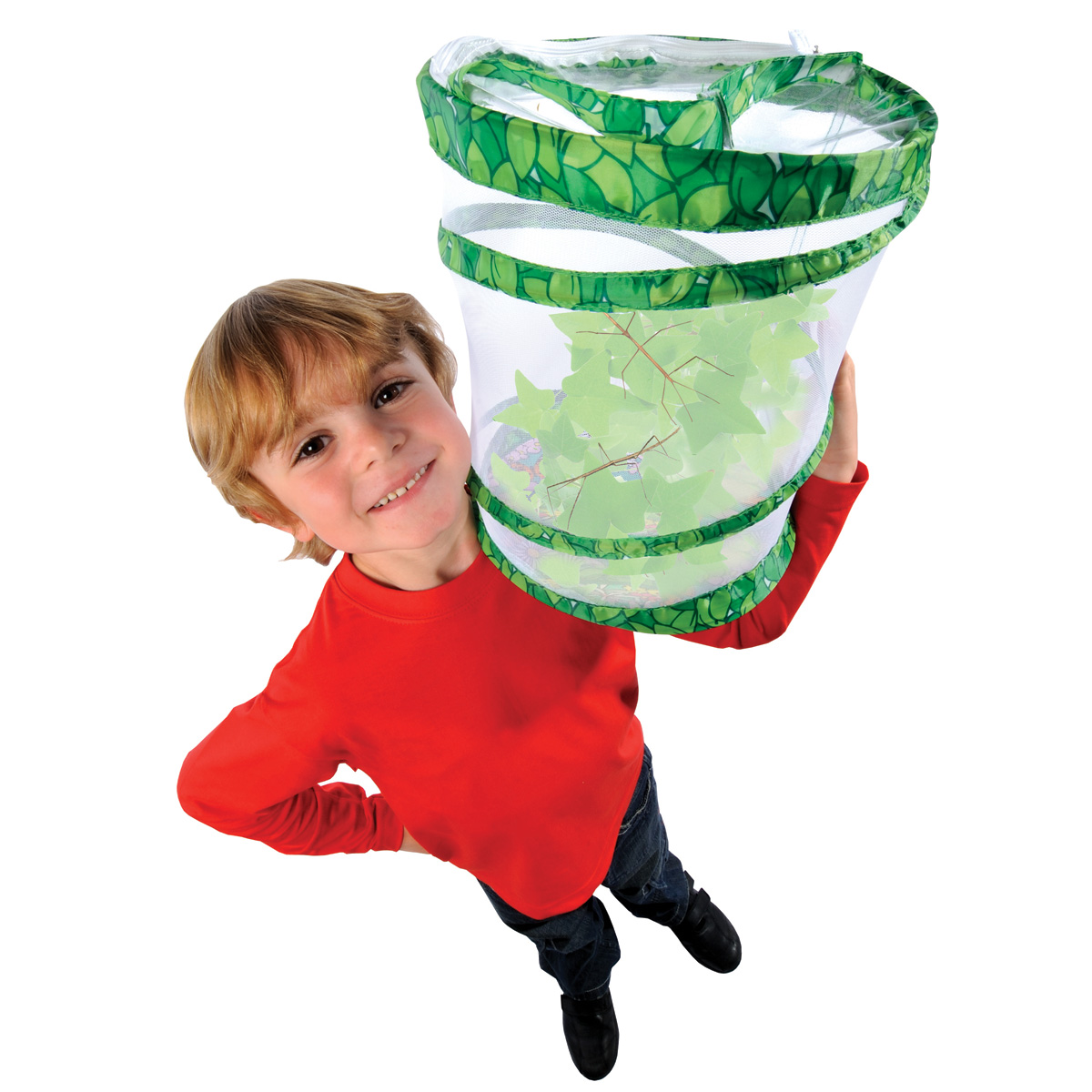Stick Insect Kit | Exploring Nature | Mulberry Bush