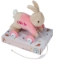 Picture of Flopsy Personalised Pull Along Toy