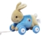Picture of Peter Rabbit Personalised Pull Along Toy