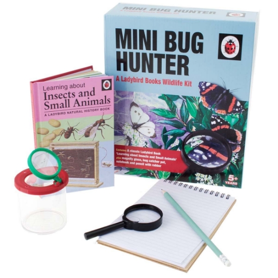 Ladybird Mini Bug Hunter