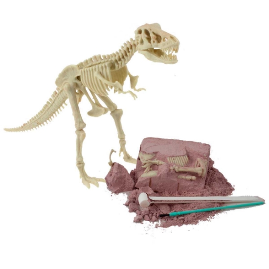 Tyrannosaurus Rex Excavation Kit