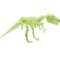 Picture of Glow Dinos - T-Rex Skeleton