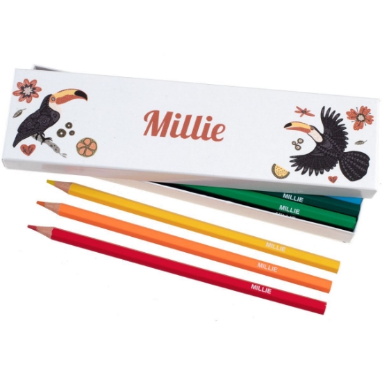 Box of 12 Named Colouring Pencils - Toucans