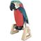 Picture of Parrot On A Perch