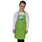 Picture of Dinosaurs Personalised Apron - Age 7-10