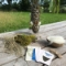 The Bird Nest Kit image 2