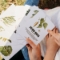 Picture of Plant a Tree Kit