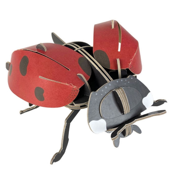 Build Your Own Ladybird Kit