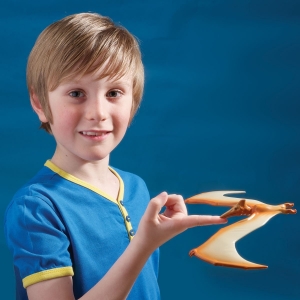 Picture of Balancing Pteranodon