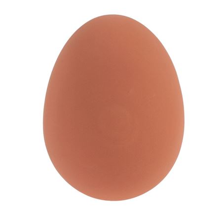 Picture of Bouncy Egg