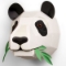Picture of Create Your Own Panda Head