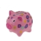 Picture of Paint Your Own Piggy Bank