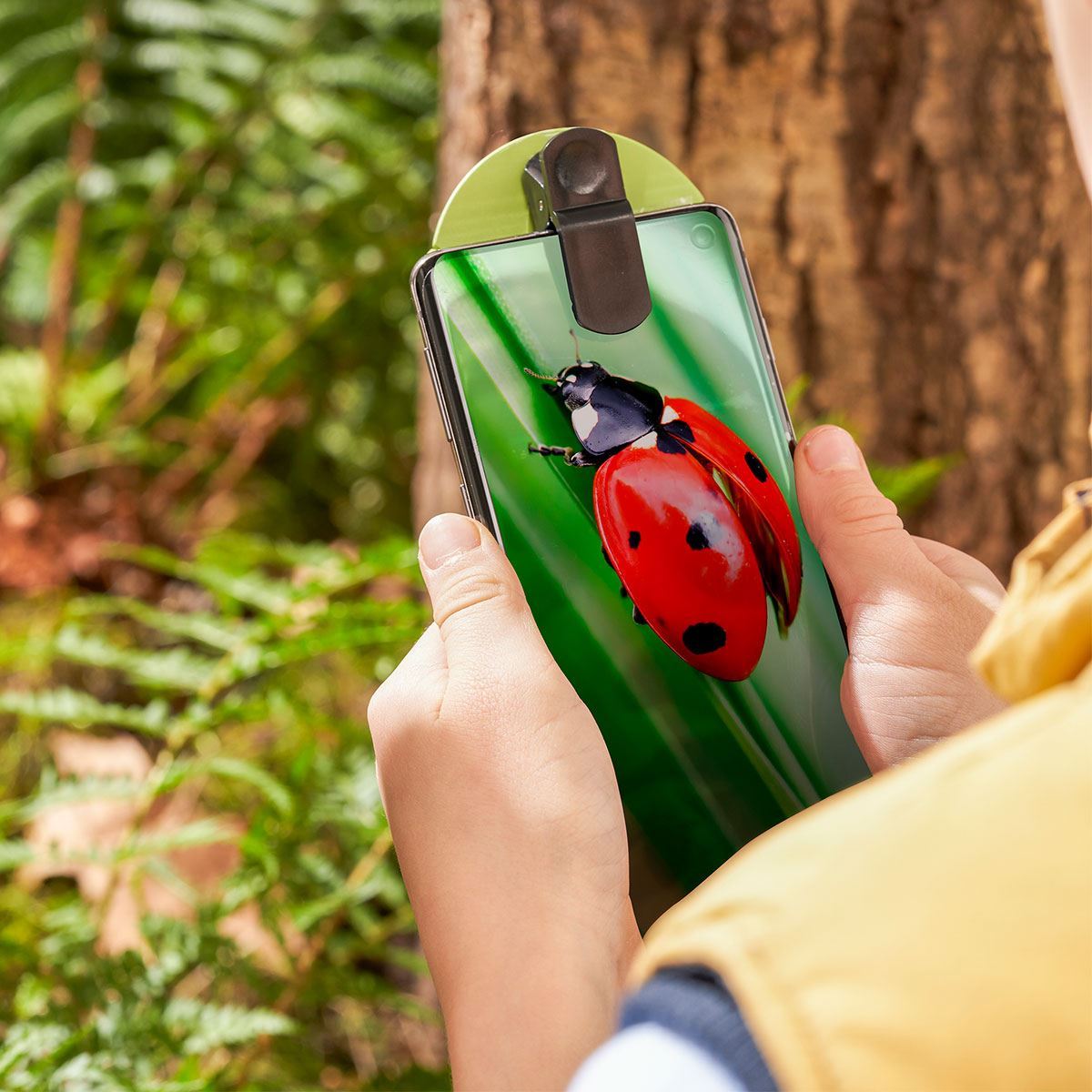 Bug Photography | Nature Kits For Kids | Mulberry Bush