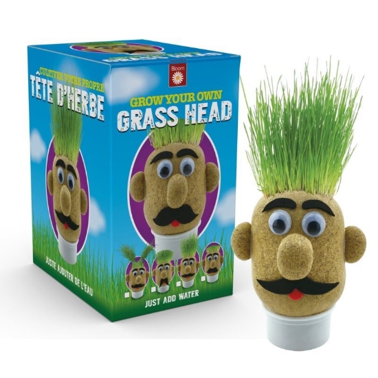 Mr Grasshead