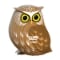 Picture of EUGY Puzzle - Owl