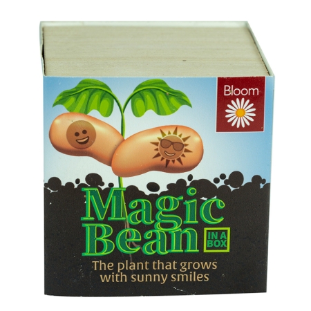 Picture of Magic Bean