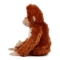 Picture of Personalised Orangutan Soft Toy