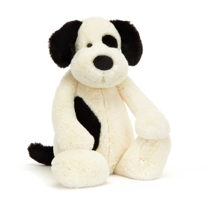 Picture of Bashful Black & Cream Puppy