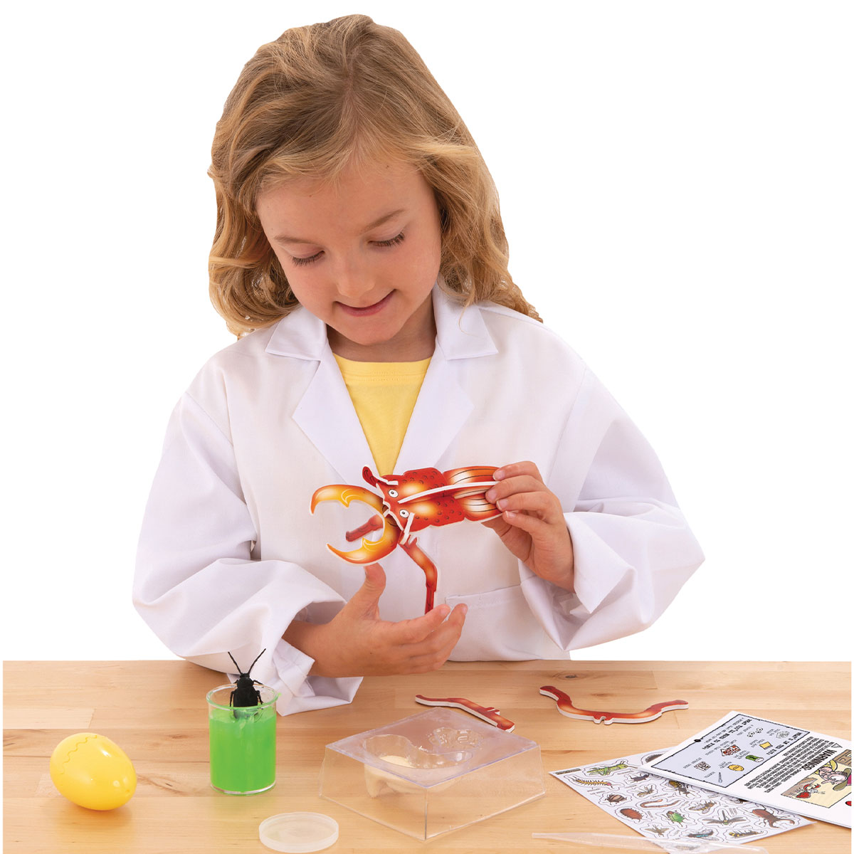 Horrible Science - Ugly Bugs | Galt | Science Toys