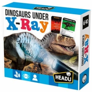 Dinosaurs Under X-Ray